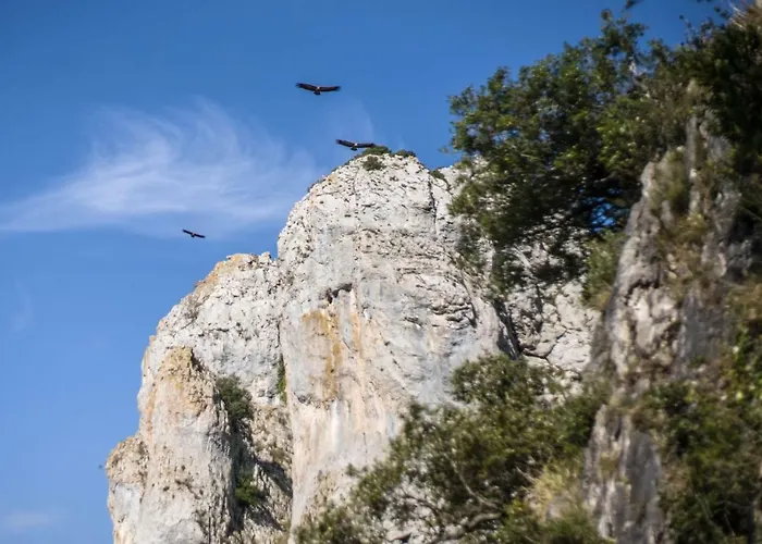 Apartmán Apartamento Gibaja